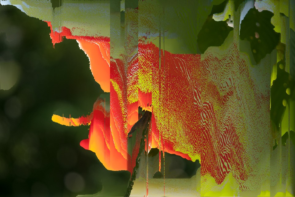 Glitch art – a photographers day off